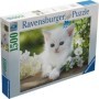 Ravensburger - Puzzle pisicuta alba 1500 piese design nou Ravensburger - 1